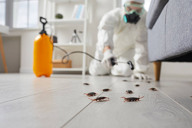 Commercial Rodent Management in Sky Valley